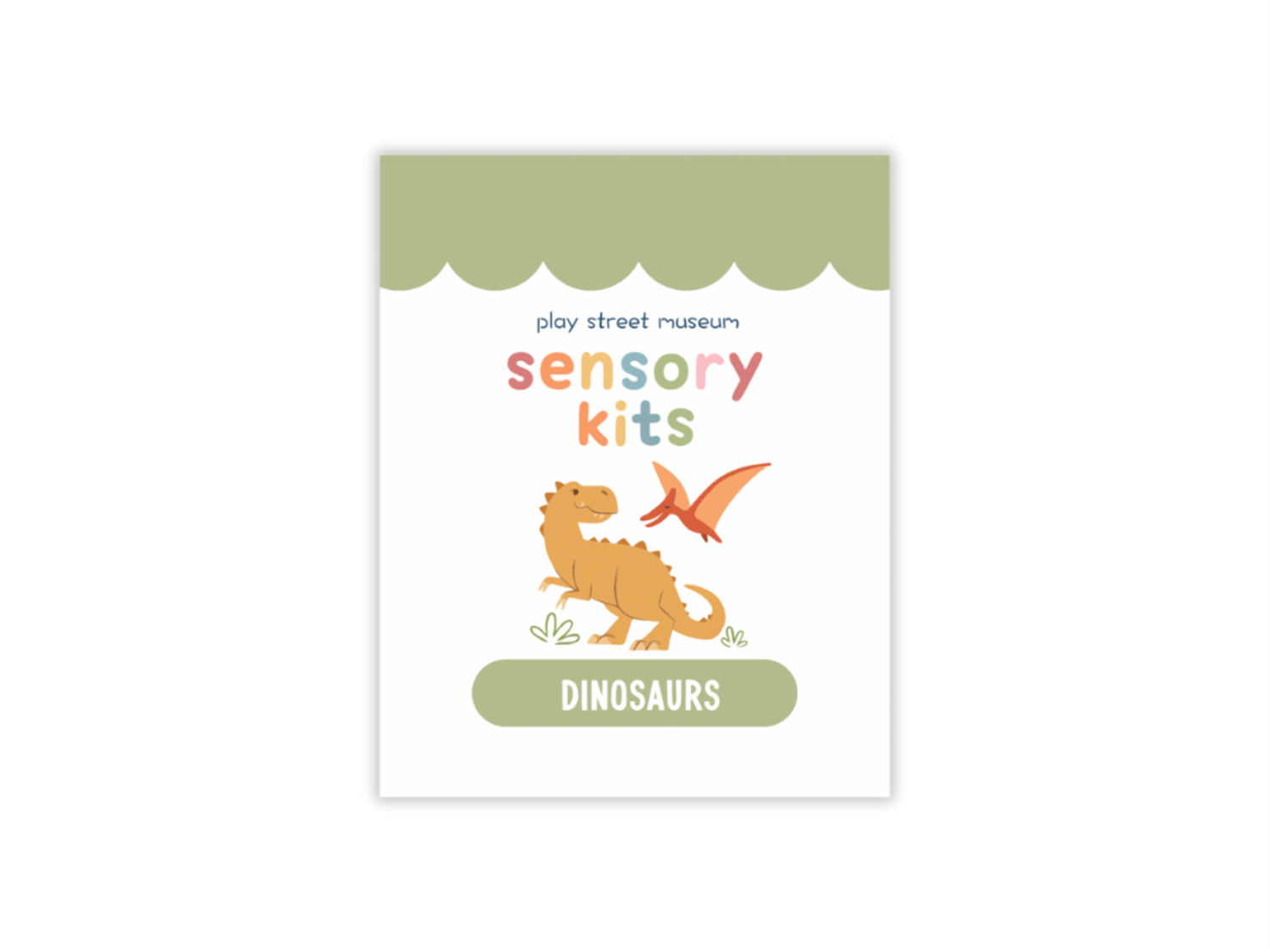 PSM Sensory Kit - Dino